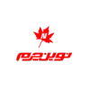نوین چرم